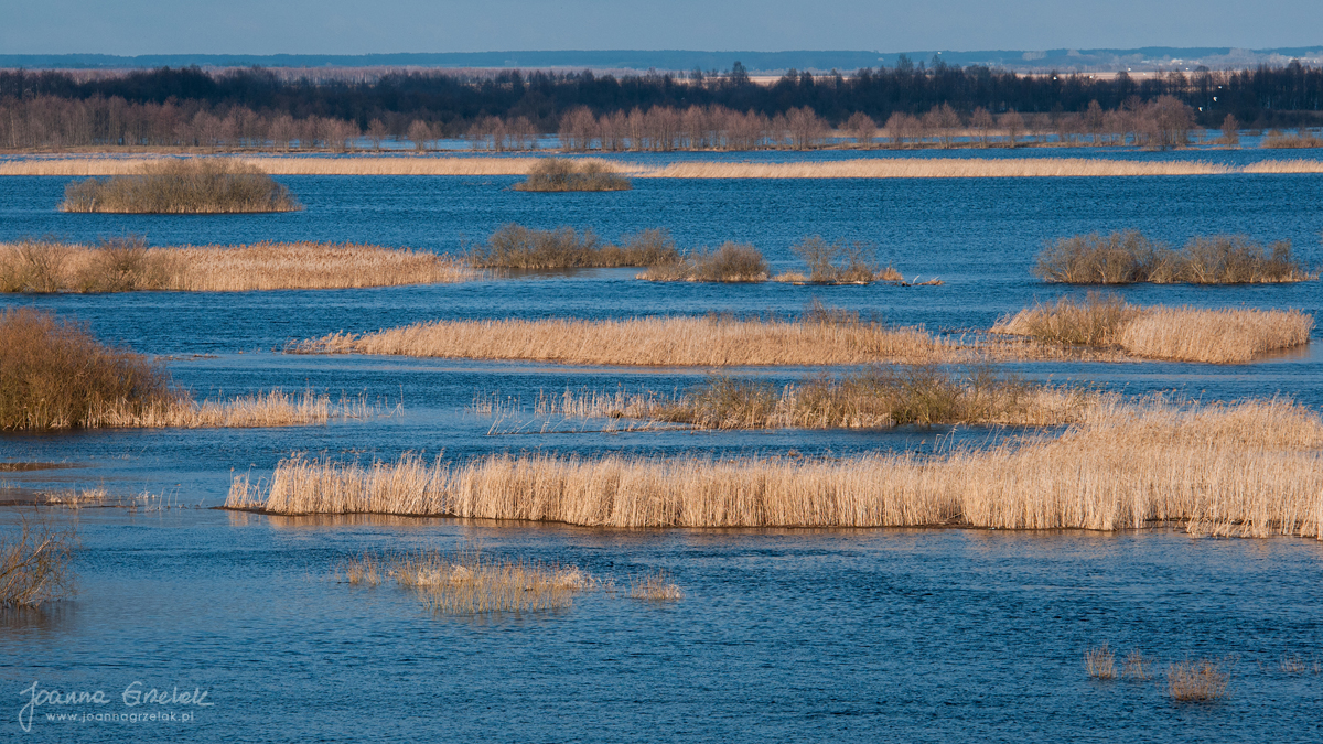 041_Biebrza - kwiecien 2013.jpg